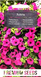 Petunia Rubina Seed